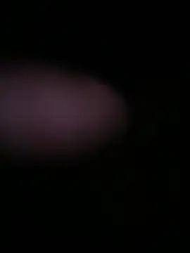 globalfucker34 online show from March 2026 08:32:01 PM