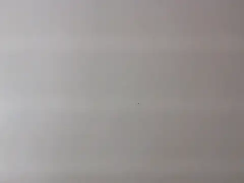 Zurii  online show from April 2026 07:50:01 PM