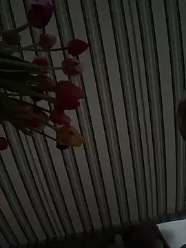 savageebny online show from May 2026 07:17:01 PM