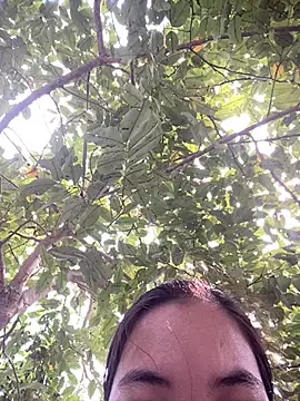 SeraCin online show from March 2026 07:09:02 AM