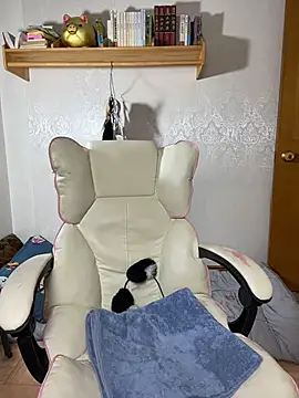 lilysister66 online show from July 2026 11:44:02 AM