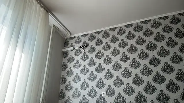 tomasdickpick online show from May 2026 07:10:02 AM