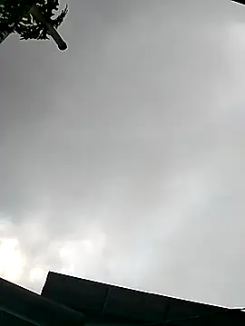 Snapshot of Cute-flowers chatting on March 2026 02:35:01 AM Cute-flowers online show from March 2026 02:35:01 AM