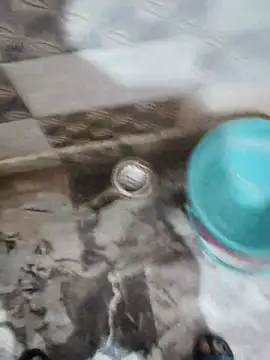 Atokxon online show from April 2026 07:06:02 PM