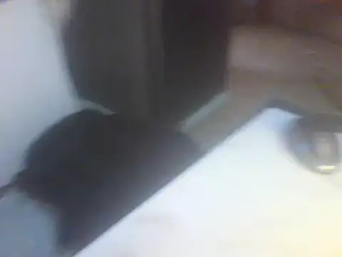 Snapshot of Likhona02 chatting on April 2026 07:48:02 AM Likhona02 online show from April 2026 07:48:02 AM