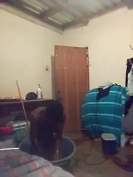 VrXis online show from April 2026 04:37:01 PM