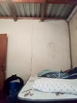 VrXis online show from April 2026 05:31:02 AM