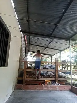 Abel-09x online show from April 2026 11:35:01 AM