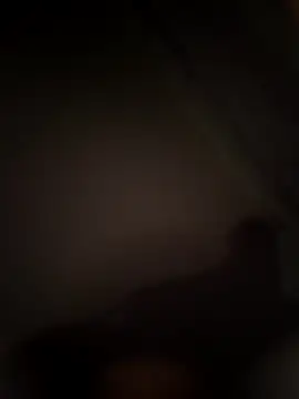 abdealrh online show from March 2026 05:47:02 PM