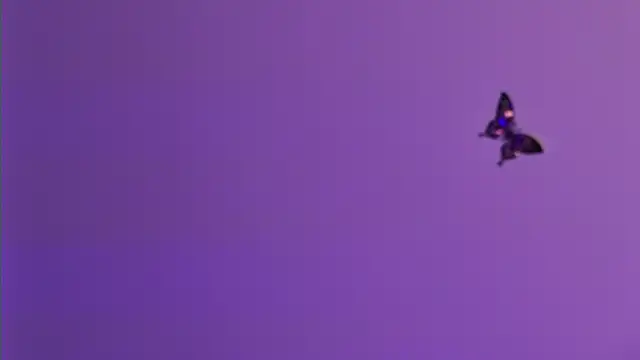 AmelieReeaa online show from April 2026 04:09:01 PM