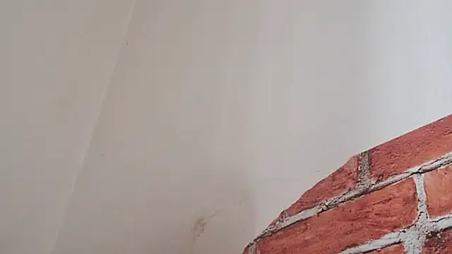 Sueliton2 online show from March 2026 05:36:01 PM