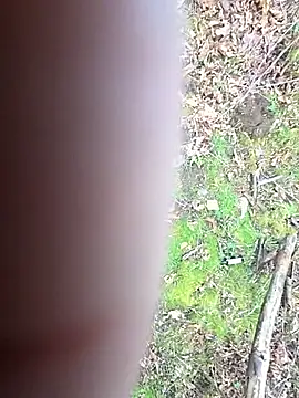 RickErtler online show from March 2026 01:28:01 AM