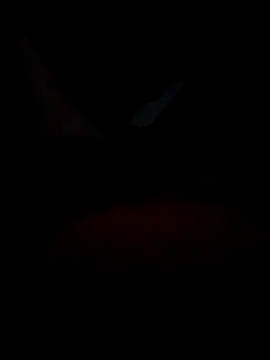 B S0051 online show from April 2026 08:16:02 PM