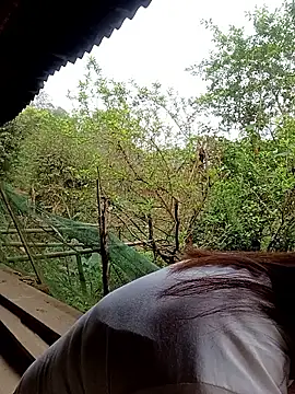 meg 06 online show from March 2026 12:19:02 AM