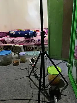 tukangcoli31 online show from April 2026 12:03:01 AM