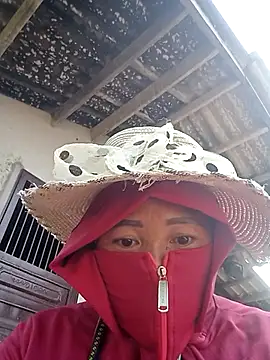 Lily Daisy online show from April 2026 07:53:02 AM