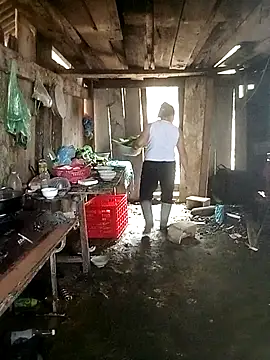 Lily Daisy online show from March 2026 04:01:02 AM