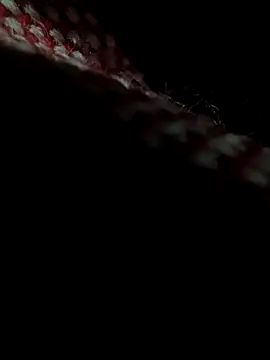 Lucho128030 online show from March 2026 03:23:01 PM