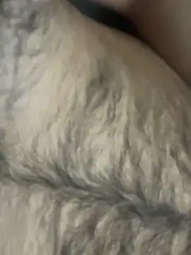 TurkishBoyzs online show from April 2026 07:28:02 PM