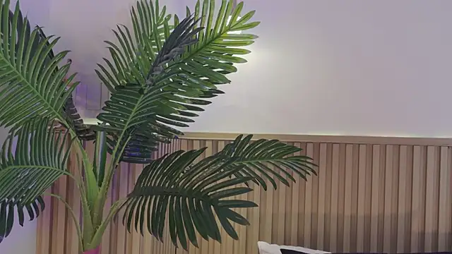 Aly leee online show from April 2026 12:06:02 PM