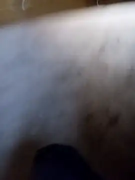 Snapshot of vrlarga chatting on April 2026 10:05:02 PM vrlarga online show from April 2026 10:05:02 PM