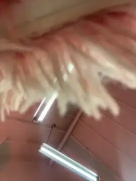 Victoria Vega   online show from April 2026 12:30:02 PM