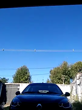 Switzerland32 online show from April 2026 08:56:01 PM