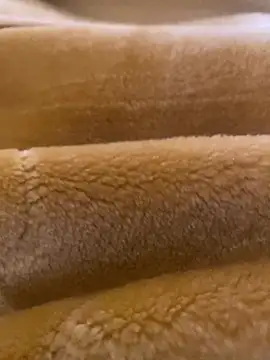 Ashwak trans online show from April 2026 12:01:01 PM