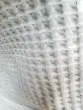 Aurora Nova online show from March 2026 06:13:02 AM