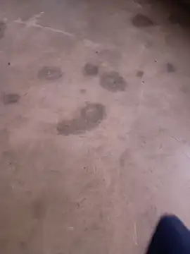 x rani online show from May 2026 06:11:02 AM