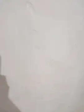 SLBL online show from March 2026 09:30:02 AM