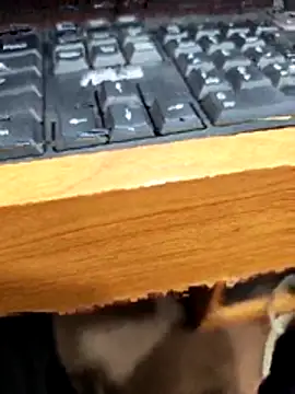 SLBL online show from March 2026 05:49:02 AM