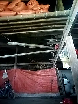 Smile-x online show from April 2026 12:50:01 AM