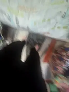 MassiveCongame online show from March 2026 12:37:02 PM