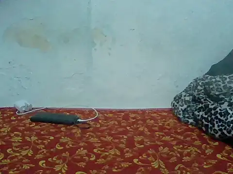 Rato250 online show from April 2026 06:42:02 PM