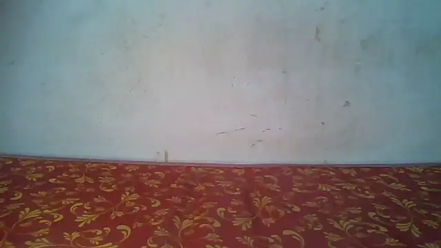 Snapshot of Rato250 chatting on May 2026 03:58:02 PM Rato250 online show from May 2026 03:58:02 PM