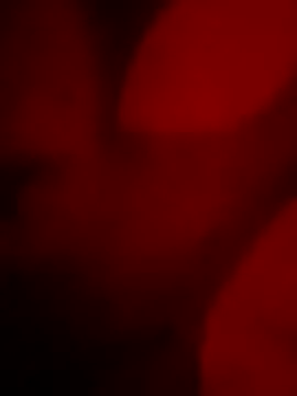 goldboy 0069 online show from April 2026 05:48:02 AM