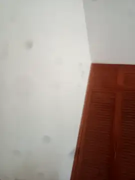 goldboy 0069 online show from April 2026 09:10:01 PM