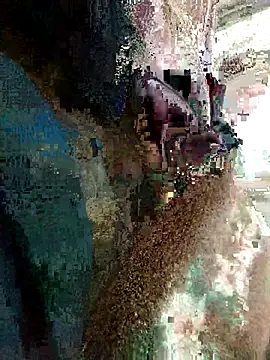 blax0 online show from March 2026 12:23:01 AM