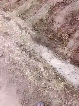 xmanraavan online show from March 2026 01:39:02 AM