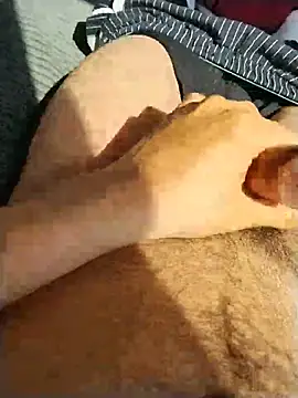 y2561 online show from June 2026 01:22:02 PM
