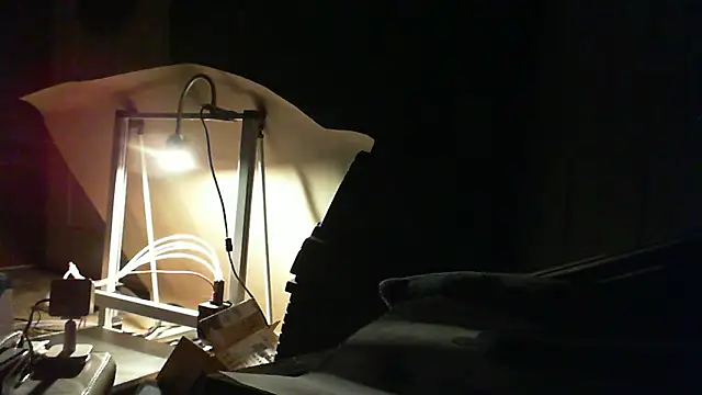 adorbsbiggestfan online show from April 2026 11:26:01 AM