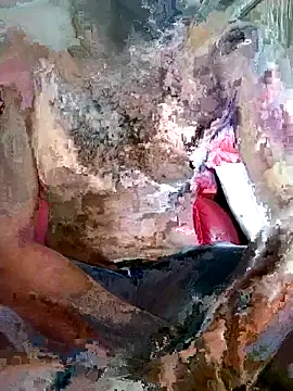 SteedyGee online show from March 2026 09:32:02 AM