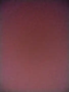 TANU01990 online show from April 2026 05:11:02 AM