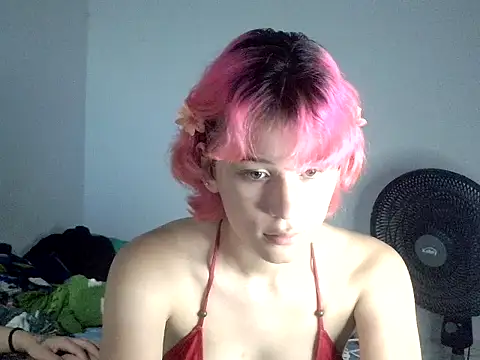 Gasby 8 online show from July 2026 04:17:02 AM