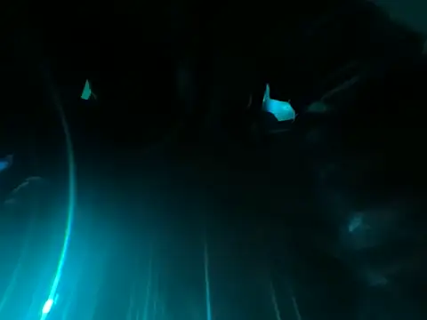 noahfoxxftm online show from March 2026 12:23:02 AM