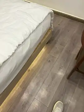 Snapshot of yingzi003 chatting on March 2026 04:20:01 PM yingzi003 online show from March 2026 04:20:01 PM