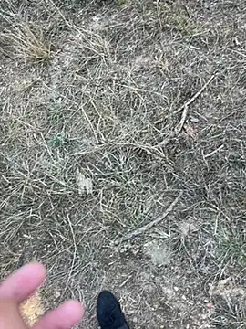 Snapshot of yingzi003 chatting on April 2026 07:43:02 AM yingzi003 online show from April 2026 07:43:02 AM