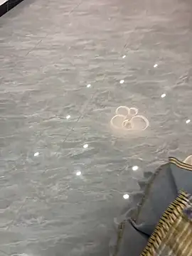 Snapshot of yingzi003 chatting on April 2026 02:09:01 PM yingzi003 online show from April 2026 02:09:01 PM