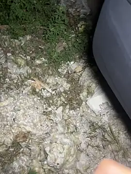 Snapshot of yingzi003 chatting on April 2026 12:53:02 PM yingzi003 online show from April 2026 12:53:02 PM